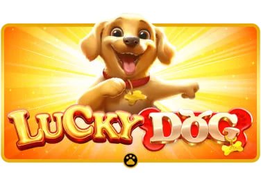 mil win Live Casino